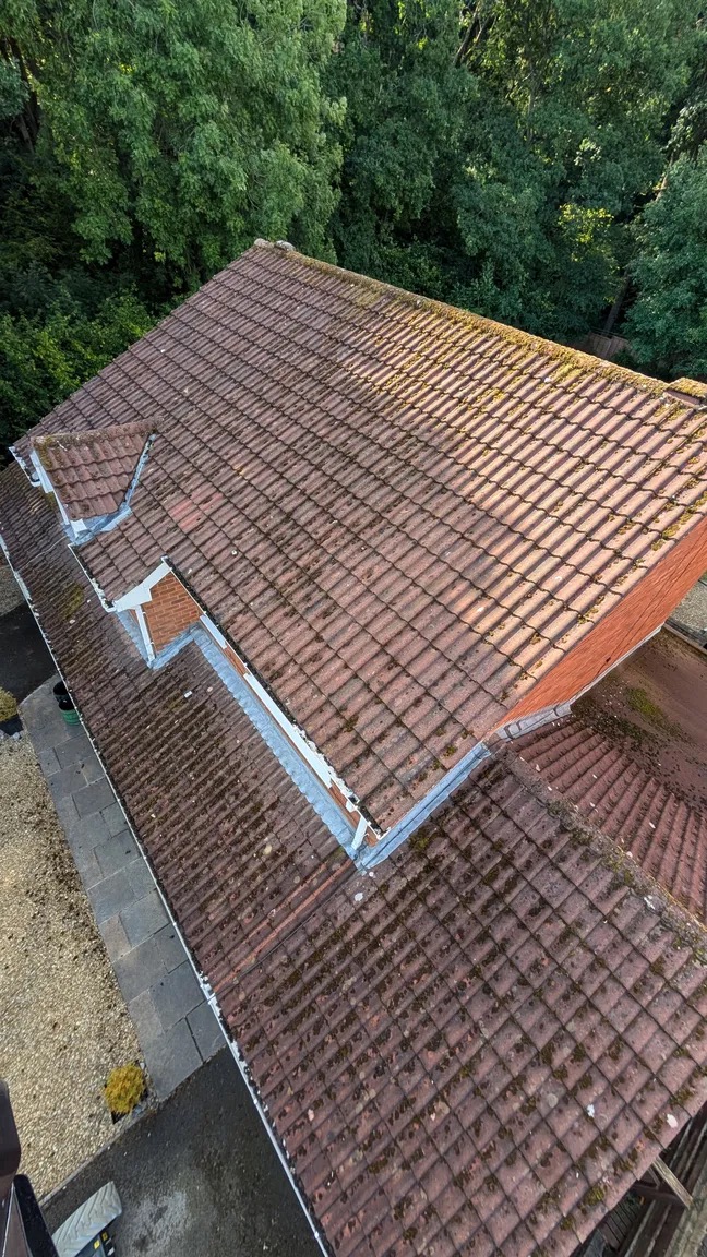 House roof and dormer covered in moss before cleaning